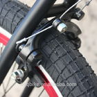 As bicicletas do nível básico BMX Freestyel, truque dos homens Bikes a durabilidade alta