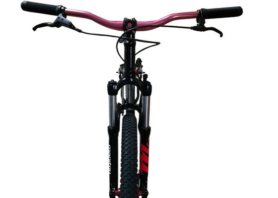 Forquilha da suspensão do quadro de Chromoly da bicicleta do corta-mato de Hardtail do salto da sujeira de 26 polegadas